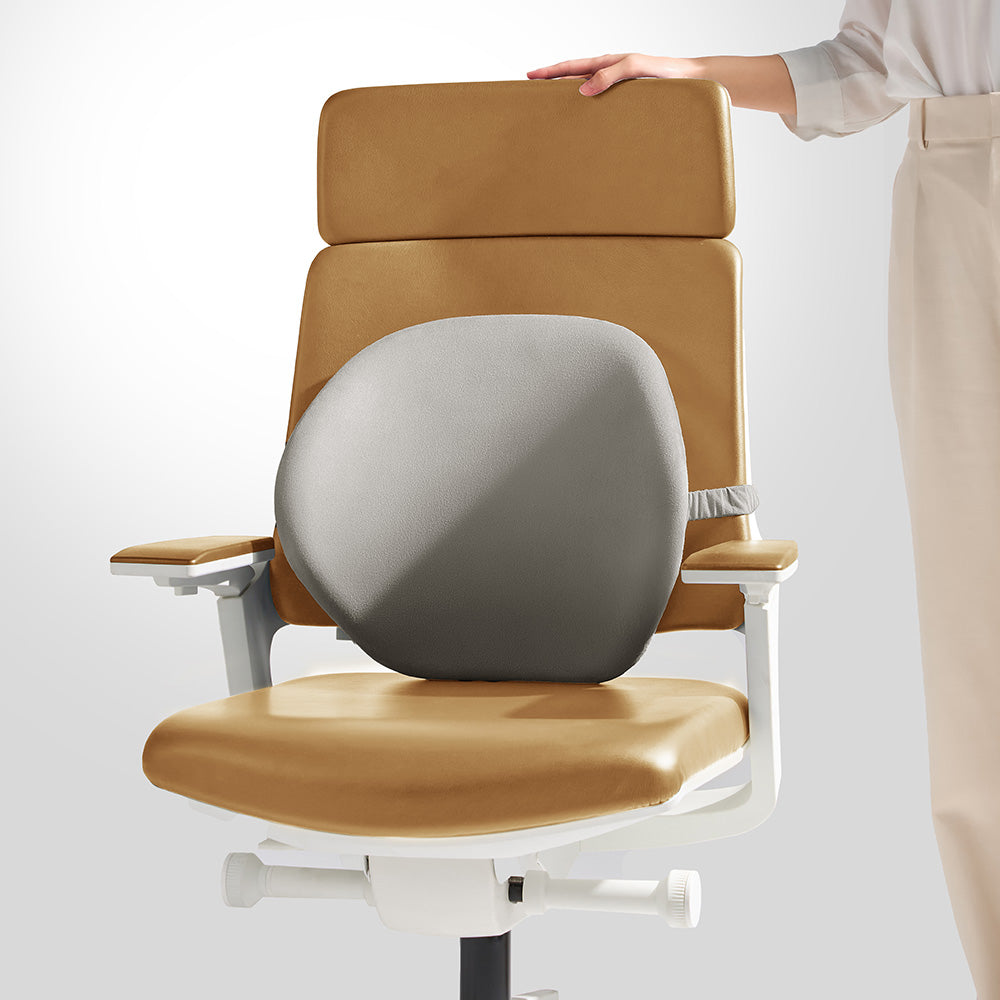 CICIDO U-Shaped Lumbar Support for Office Chair