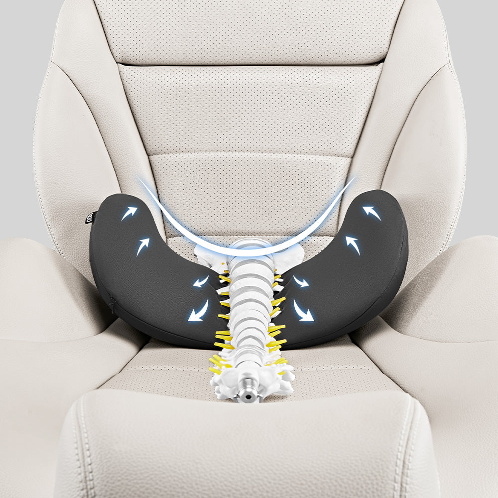 CICIDO Angel-wing Headrest and Lumbar Support