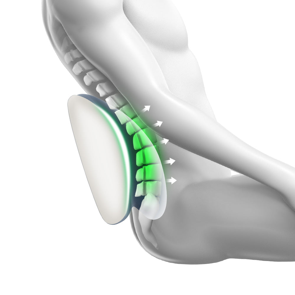 CICIDO Angel-wing Headrest and Lumbar Support